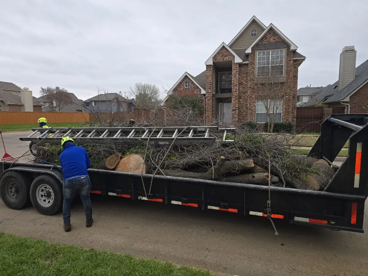 Expert Lot Clearing with proper safety equipment in Addy